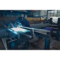 Serre-joint enti&egrave;rement en acier &agrave; double force variable Nassau Supply