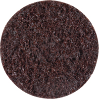 Standard Abrasives Surface Conditioning Discs, 2" Dia., Coarse Grit Nassau Supply