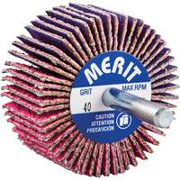 Mini-meule &agrave; lamelles mont&eacute;e sur tige, C&eacute;ramique d'alumine, Grain 40, 2" x 1" x 1/4" Nassau Supply