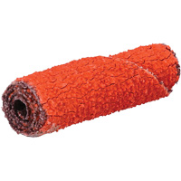 Rouleau de cartouche Blaze R920, 60 Grain, 3/8" dia., C&eacute;ramique d'alumine, 1-1/2" lo, 1/8" Dimension de l'arbre Nassau Supply