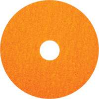 BlazeX F980 Fiber Disc, Ceramic Alumina, 36, 5" Dia x 7/8" Arbor Nassau Supply