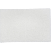 Tampons manuels Bear-Tex, Non abrasif, 9" x 6" Nassau Supply