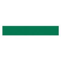 Write-On Magnetic Label, Magnetic, 600" L x 1" W Nassau Supply