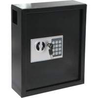 Electronic Key Safe, 48 Keys, Grey OQ769 | Nassau Supply