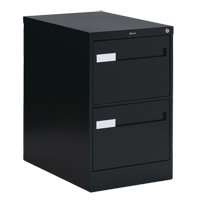 Vertical Filing Cabinet with Recessed Drawer Handles, 2 Drawers, 18.15" W x 26.56" D x 29" H, Black OTE611 | Nassau Supply