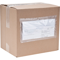 Packing List Envelopes, 4" L x 5" W, Endloading Style PB438 | Nassau Supply