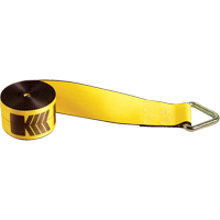 Winch Straps, Delta Ring, 4" W x 30' L, 5400 lbs. (2450 kg) Working Load Limit Nassau Supply