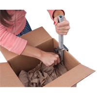 Carton Sizer Nassau Supply