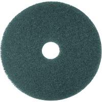 5300 Series Pad, 16", Cleaning, Blue PG207 | Nassau Supply