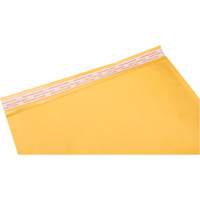 Enveloppes postales coussinées, Kraft, 12-1/2" la x 19" lo PG246 | Nassau Supply