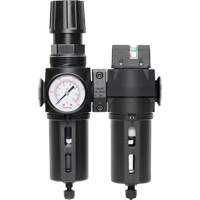 Filter/Regulator & Coalescing Filter Modulair 300 with Standard Bowl & Manual Drain, 3/8" NPTF, 150 PSI, 5.12 fl. oz. Capacity Nassau Supply