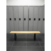 Locker Room Bench, Wood, 72" L x 9-1/2" W x 16-1/2" H RL873 | Nassau Supply