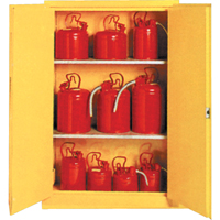 Insulated Flammable Liquid Safety Cabinets, 30 gal., 2 Door, 44" W x 45" H x 19" D SA087 | Nassau Supply