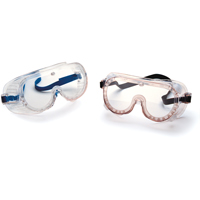 22 Series Safety Goggles, Clear Tint, Elastic Band SA386 | Nassau Supply