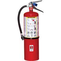 Fire Extinguisher, ABC, 10 lbs. Capacity SA443 | Nassau Supply