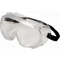 Encompass™ Safety Goggles, Clear Tint, Anti-Fog, Neoprene Band SAK589 | Nassau Supply