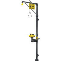Corrosion-Resistant Emergency Shower & Eye/Face Wash Station Nassau Supply