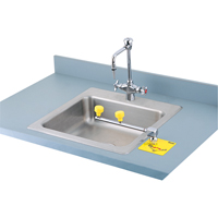 Swing-Away Eyewash Station, Counter-Mount Installation Nassau Supply