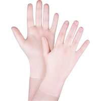 Disposable Gloves, Small, Vinyl, 4.5-mil, Powder-Free, Clear, Class 2 SGX027 | Nassau Supply