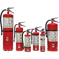 Fire Extinguisher, ABC, 5 lbs. Capacity SED109 | Nassau Supply