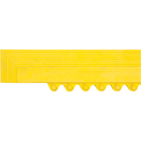 Rampe de bordure pour tapis Nassau Supply