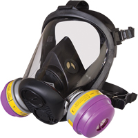 Respirateur &agrave; masque complet de s&eacute;rie RU6500 de North, Silicone, Petit Nassau Supply