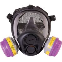 Respirateur &agrave; masque complet de s&eacute;rie RU6500 de North, Silicone, Petit Nassau Supply