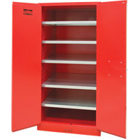 Paint/Ink Cabinet, 96 gal., 5 Shelves SDN652 | Nassau Supply