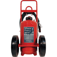 Red Line<sup>®</sup> Wheeled Fire Extinguishers, BC, 150 lbs. Capacity SDN839 | Nassau Supply