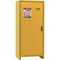 Armoire d'entreposage 30 minutes s&eacute;curitaire et conforme &agrave; la norme EN, 30 gal., 1 Porte(s), 34,02" La x 76,65" h x 24,21" p Nassau Supply