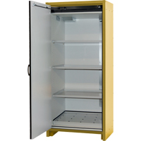 Armoire d'entreposage 30 minutes s&eacute;curitaire et conforme &agrave; la norme EN, 30 gal., 1 Porte(s), 34,02" La x 76,65" h x 24,21" p Nassau Supply