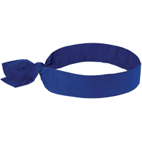 Chill-its&reg; 6700 Cooling Bandanas, Blue Nassau Supply
