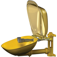 Halo Eyewash Stations, Wall-Mount Installation, Plastic Bowl Nassau Supply