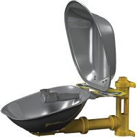 Halo Eyewash Stations, Wall-Mount Installation, Stainless Steel Bowl Nassau Supply