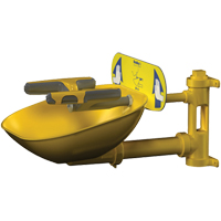 Halo Face/Eyewash Stations, Wall-Mount Installation, Plastic Bowl Nassau Supply