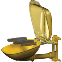 Halo Face/Eyewash Stations, Wall-Mount Installation, Plastic Bowl Nassau Supply