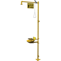 Halo Combination Emergency Shower & Eyewash Station Nassau Supply