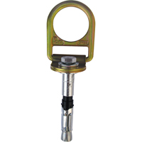 PRO™ Concrete D-ring Anchor with Bolt, Concrete/D-Ring, Permanent Use SEB928 | Nassau Supply