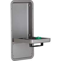 Eye/Face Wash Station, Wall-Mount Installation, Stainless Steel Bowl SEC202 | Nassau Supply