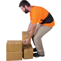 Back Support, Elastic, Small Nassau Supply