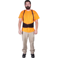Back Support, Elastic, Small Nassau Supply