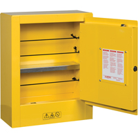 Mini-armoires de s&eacute;curit&eacute; Sure-Grip EX pour produits inflammables, 2 gal., 1 Porte(s), 17" La x 22" h x 8" p Nassau Supply