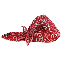 Bandeaux en triangle 6710CT de refroidissement en tissu de serviette Chill-Its, Rouge Nassau Supply