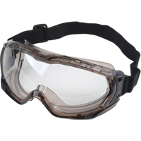 Z1100 Series Safety Goggles, Clear Tint, Anti-Fog, Elastic Band SEK294 | Nassau Supply