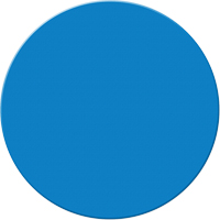 Marqueurs all&eacute;g&eacute;e/5S Armor Stripe, Cercle, 6" lo x 6" la, Bleu, Plastique Nassau Supply