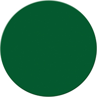 Marqueurs all&eacute;g&eacute;e/5S Armor Stripe, Cercle, 6" lo x 6" la, Vert, Plastique Nassau Supply