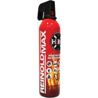 Fire Extinguisher, ABC/K, 2 lbs. Capacity SGC461 | Nassau Supply