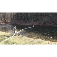 SpillBoa™ Bale, Oil Only, 25' L x 5" W, 28 gal. Absorbancy, 4 /Pack SGC511 | Nassau Supply