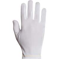 Inspector's Glove, Nylon, Hemmed Cuff, Large SGI597 | Nassau Supply