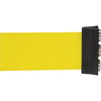 Wall Mount Barrier with Magnetic Tape, Steel, Screw Mount, 12', Yellow Tape SGR019 | Nassau Supply